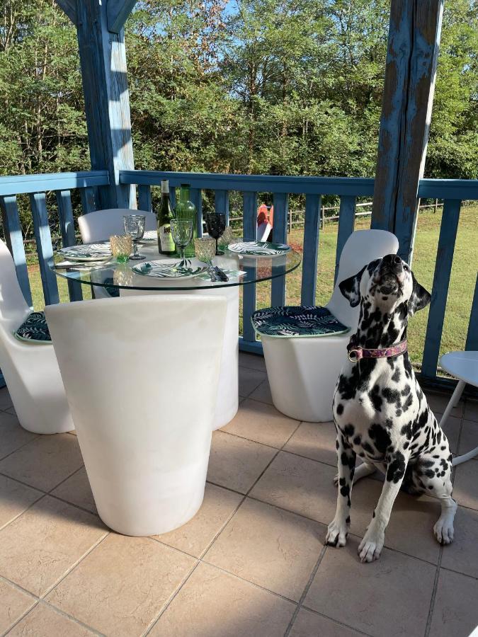 *A Setting Between Dordogne And Swimming Pool* Appartement Argentat Buitenkant foto